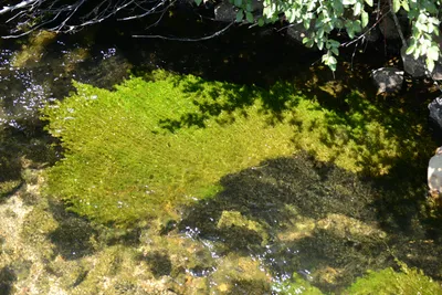 DSC_3663 (Large).JPG